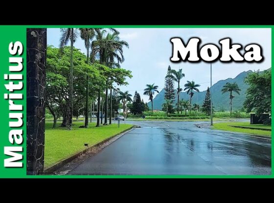 Moka Mauritius Drowning