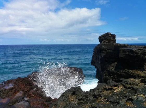 weeping rock mauritius